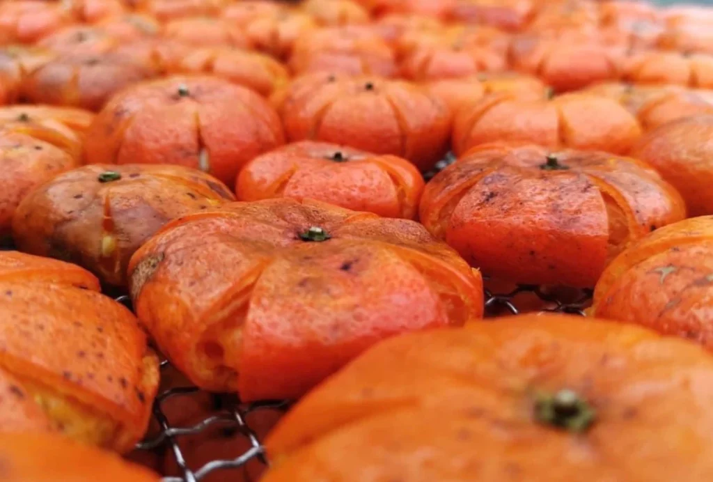 fermentierte Orange