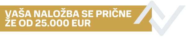 Vaša naložba se prične že od 25.000 EUR Banner